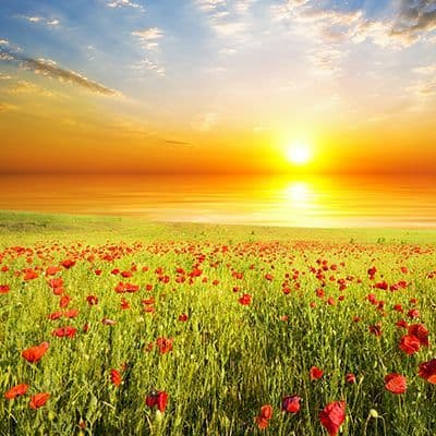 Beautiful Day